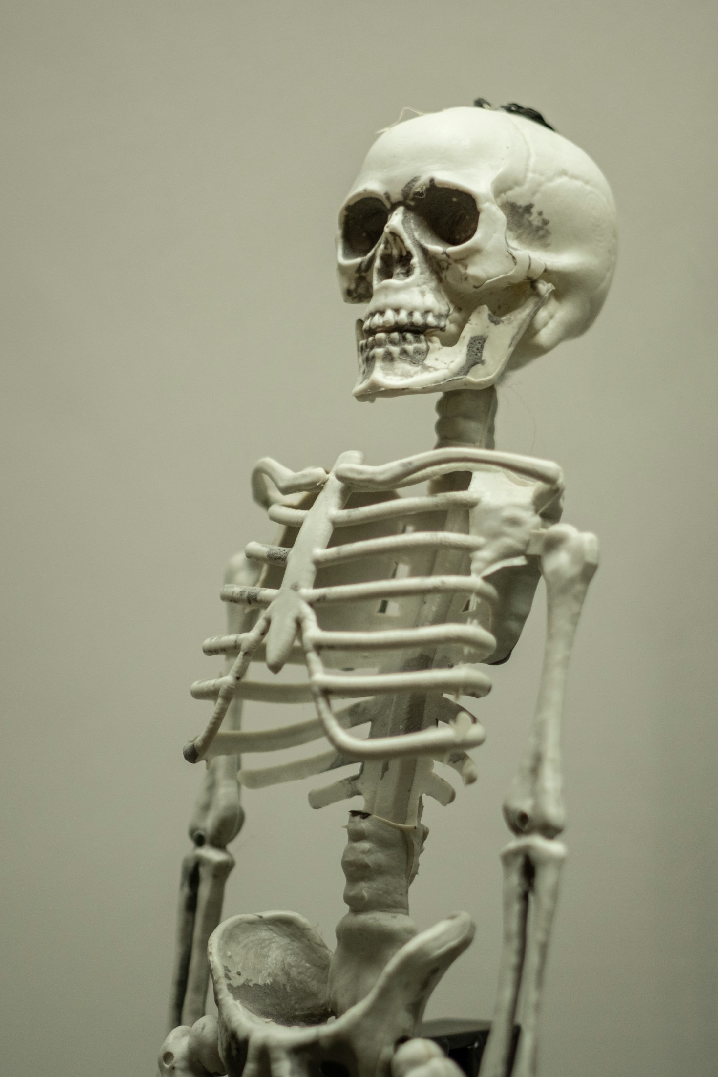 The Magic of Insects and Bones in Art