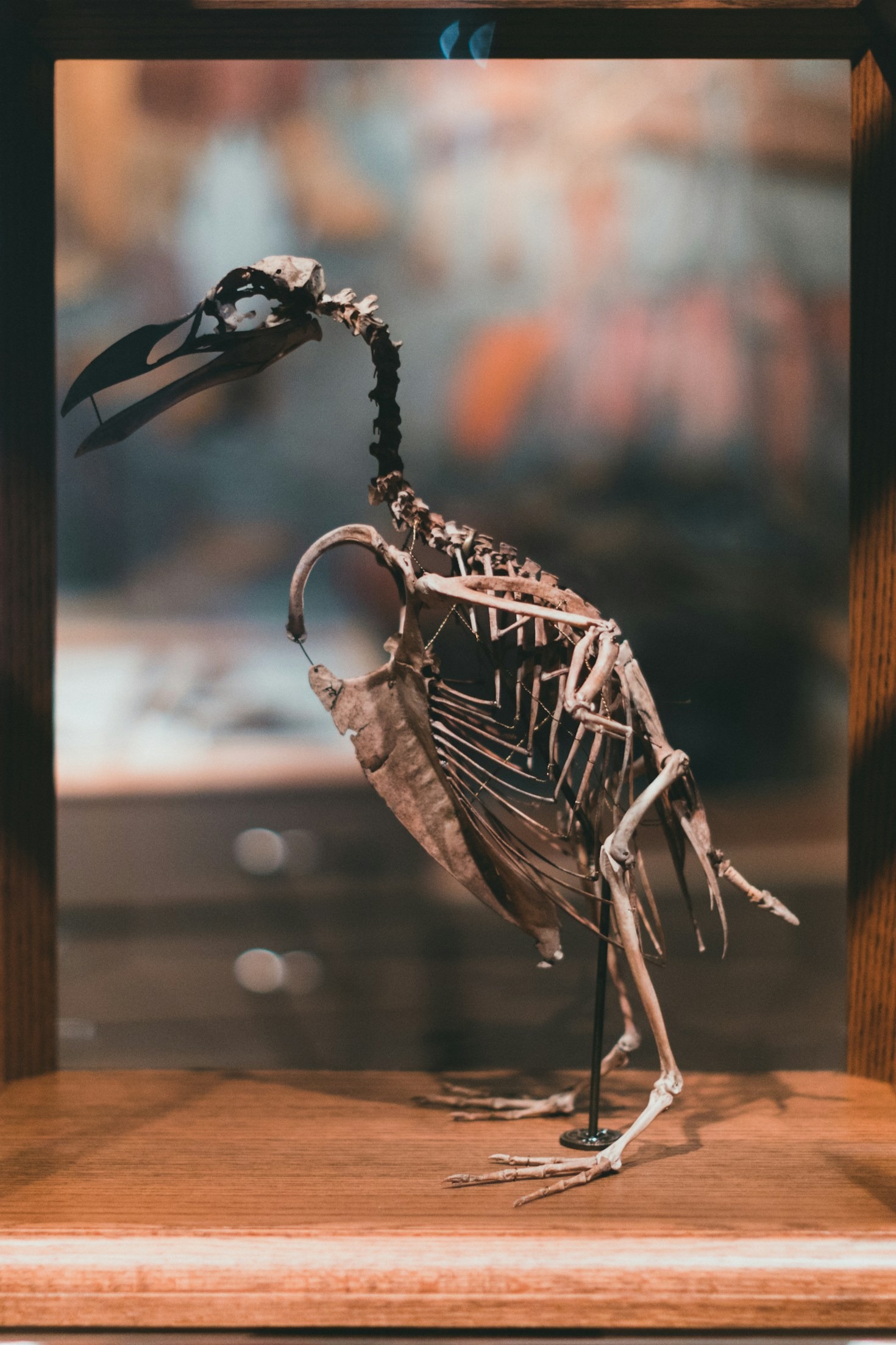 Transforming Nature’s Elements into Art